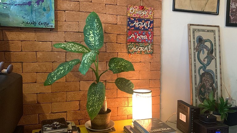 Cozy apartment in leblon for up to 4 people